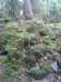 _122815_small.jpg