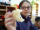 dsc00085_small.jpg