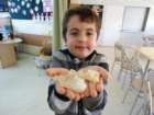 dsc00086_small.jpg