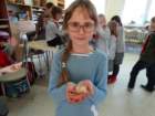 dsc00087_small.jpg