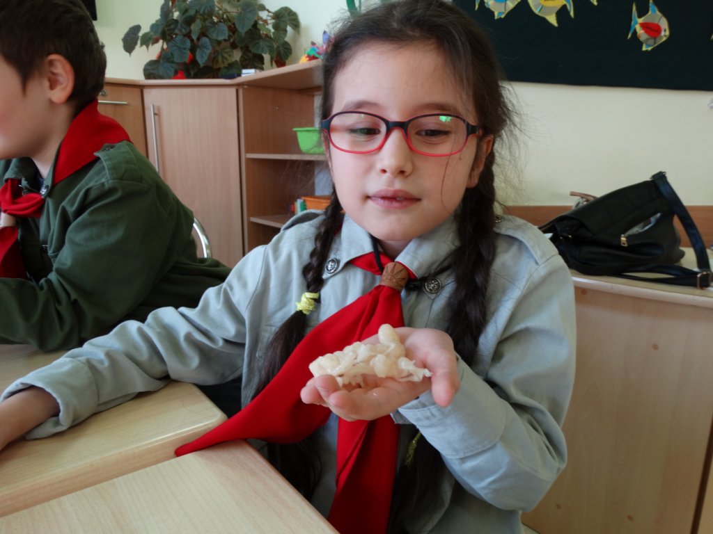 dsc00088.jpg