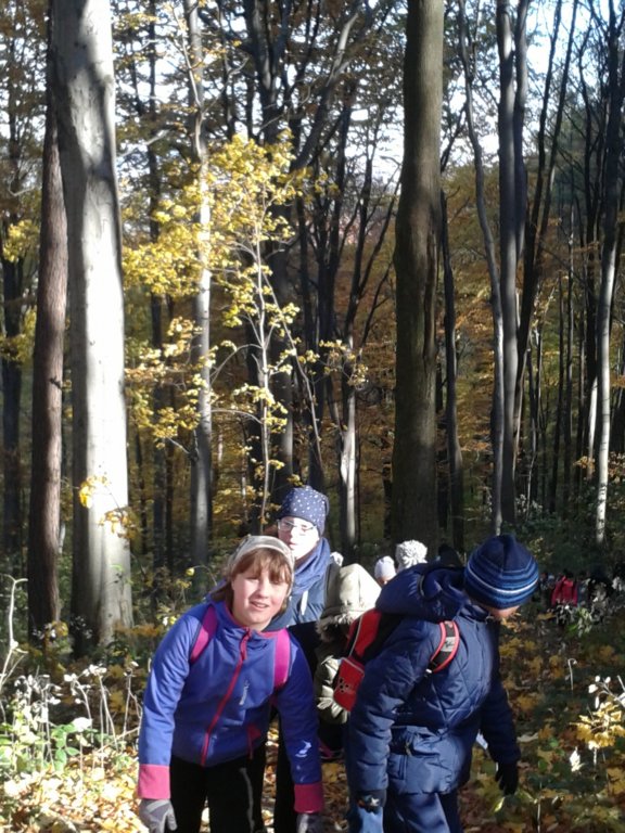 _103503.jpg