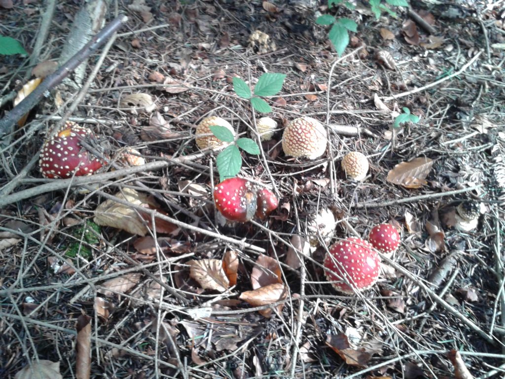 _115919.jpg