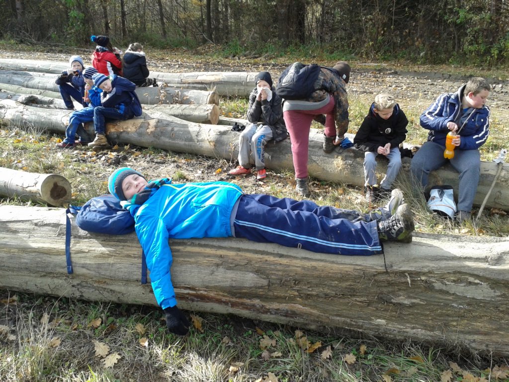_124124.jpg
