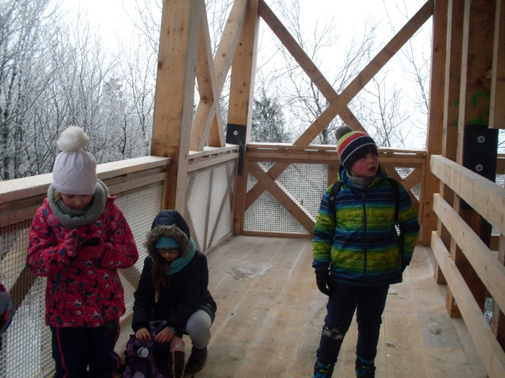 sdc10203.jpg