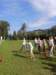 _104509_small.jpg