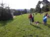 _104611_small.jpg
