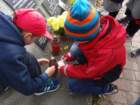 dsc08950_small.jpg