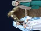 dsc00427_small.jpg