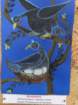 dsc03052_small.jpg