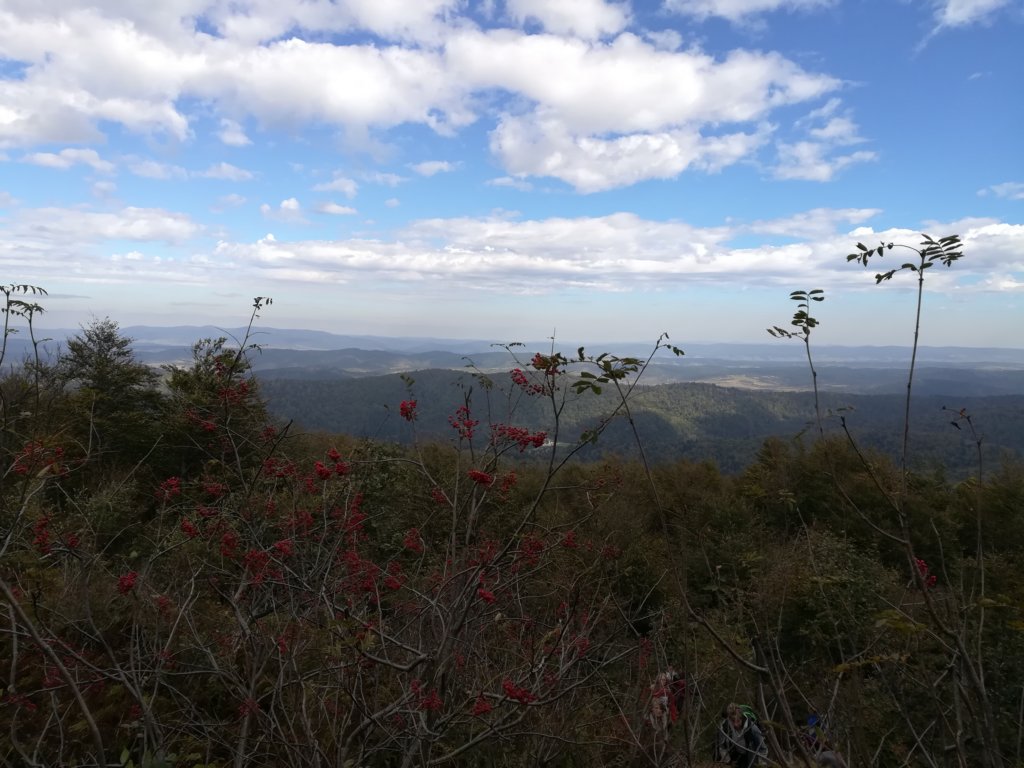 img_20180928_112653.jpg