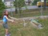 sdc10155_small.jpg