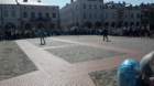 _113037_small.jpg