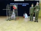 dsc02666_small.jpg