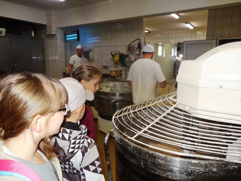 dsc08604.jpg