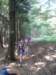 _113528_small.jpg