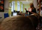 dsc02684_small.jpg