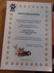 dsc09731_small.jpg