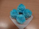 dsc04177_small.jpg