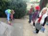 dsc08582_small.jpg