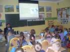 sdc14074_small.jpg