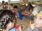 photo21_small.jpg