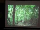 dsc00585_small.jpg