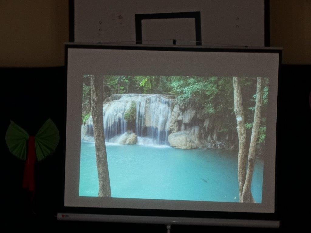dsc00590.jpg