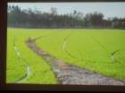 dsc00596_small.jpg