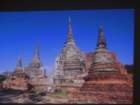 dsc00597_small.jpg