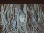 dsc00598_small.jpg