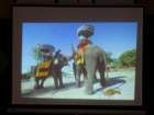 dsc00601_small.jpg