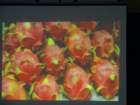 dsc00615_small.jpg