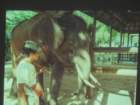 dsc00635_small.jpg