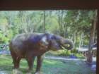 dsc00636_small.jpg