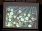 dsc00639_small.jpg