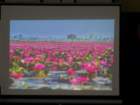 dsc00642_small.jpg