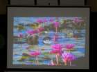 dsc00643_small.jpg