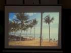 dsc00648_small.jpg