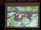 dsc00652_small.jpg