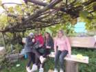 dscf1368_small.jpg