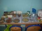 sdc14226_small.jpg