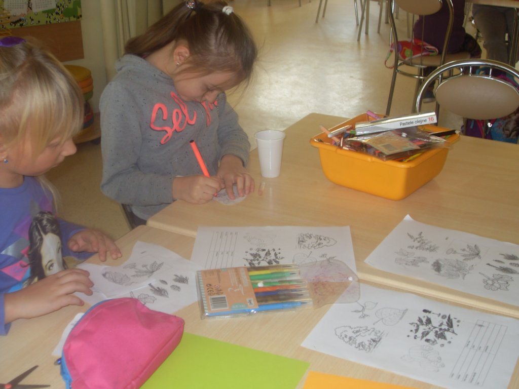 sdc14253.jpg