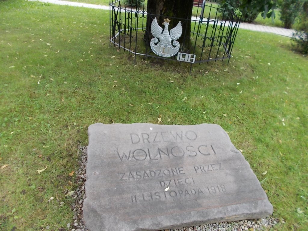 dscn8564.jpg