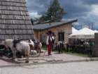 dscn8772_small.jpg