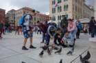 dsc01869_small.jpg