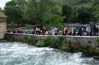 dsc01924_small.jpg