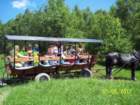 dziendziecka2017045_small.jpg