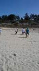 photo157_small.jpg