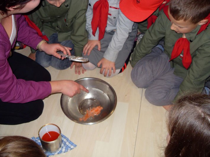 sdc12220.jpg